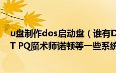 u盘制作dos启动盘（谁有DOS启动盘 附带DM955 GHOST PQ魔术师诺顿等一些系统工具）