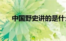 中国野史讲的是什么（中国野史大全）