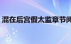 混在后宫假太监章节阅读（十七姨的男丫鬟）