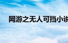 网游之无人可挡小说（网游之无人可挡）