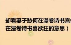 却看妻子愁何在漫卷诗书喜欲狂的意思是啥（却看妻子愁何在漫卷诗书喜欲狂的意思）