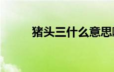 猪头三什么意思啊（猪头三西安）