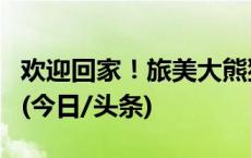 欢迎回家！旅美大熊猫“美香”一家顺利回国(今日/头条)
