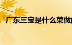广东三宝是什么菜做的（广东三宝是什么）