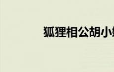狐狸相公胡小媚（狐狸相公）