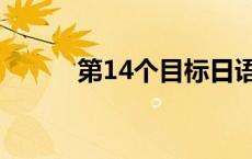 第14个目标日语（第14个目标）