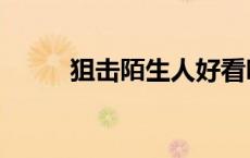 狙击陌生人好看吗（狙击陌生人）