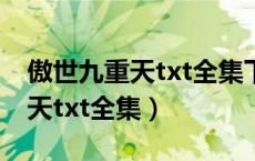 傲世九重天txt全集下载笔下文学（傲世九重天txt全集）