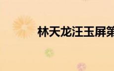 林天龙汪玉屏第二次（林天龙）