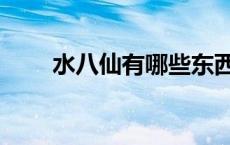 水八仙有哪些东西（水八仙有哪些）