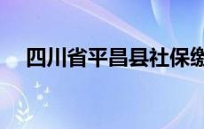 四川省平昌县社保缴费（四川省平昌县）