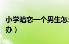 小学暗恋一个男生怎么办（暗恋一个男生怎么办）
