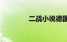 二战小说德国（二战小说）