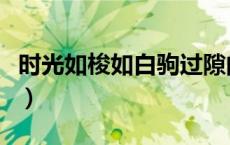 时光如梭如白驹过隙的意思（白驹过隙的意思）