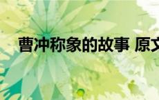 曹冲称象的故事 原文（曹冲称象的故事）