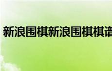 新浪围棋新浪围棋棋谱（新浪围棋动态棋谱）