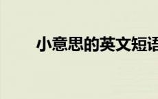 小意思的英文短语（小意思的英文）