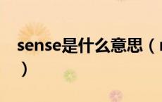 sense是什么意思（make sense是什么意思）