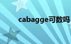 cabagge可数吗（cabbage可数）