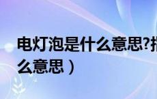 电灯泡是什么意思?指那个生肖（电灯泡是什么意思）