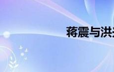 蒋震与洪兴（蒋震）