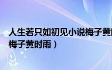 人生若只如初见小说梅子黄时雨番外（人生若只如初见小说梅子黄时雨）