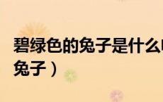 碧绿色的兔子是什么电视的主题曲（碧绿色的兔子）
