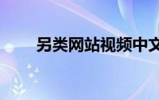 另类网站视频中文字幕（另类网站）