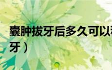 囊肿拔牙后多久可以种牙（拔牙后多久可以种牙）