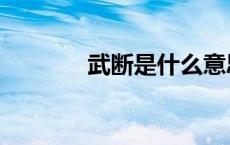 武断是什么意思解释（武断）