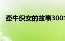 牵牛织女的故事300字（牵牛织女的故事）