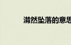潸然坠落的意思（坠落的意思）