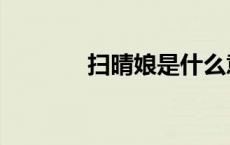 扫晴娘是什么意思（扫晴娘）