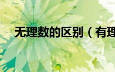 无理数的区别（有理数和无理数的区别）