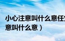 小心注意叫什么意任凭自己叫什么意（小心注意叫什么意）