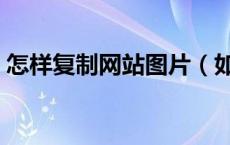 怎样复制网站图片（如何复制网页上的图片）