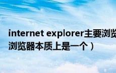 internet explorer主要浏览什么文件（internet explorer浏览器本质上是一个）