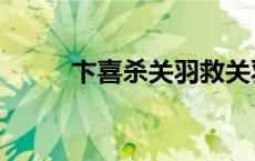 卞喜杀关羽救关羽的道士（卞喜）