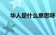 华人是什么意思呀（华人是什么意思）