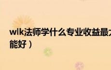 wlk法师学什么专业收益最大（魔兽世界法师学什么专业技能好）