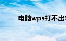 电脑wps打不出字（ps打不出字）