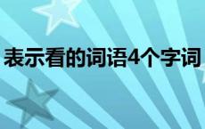 表示看的词语4个字词（表示看的词语4个字）