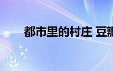 都市里的村庄 豆瓣（都市里的村庄）