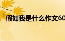 假如我是什么作文600字（假如我是什么）