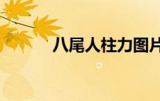 八尾人柱力图片（八尾人柱力）
