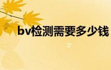bv检测需要多少钱（bv检测中国官网）
