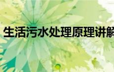 生活污水处理原理讲解（生活污水处理原理）