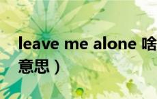 leave me alone 啥意思（leave me是什么意思）