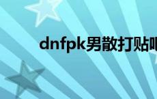dnfpk男散打贴吧（dnf男散打吧）