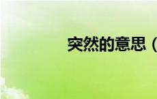 突然的意思（偶然的意思）